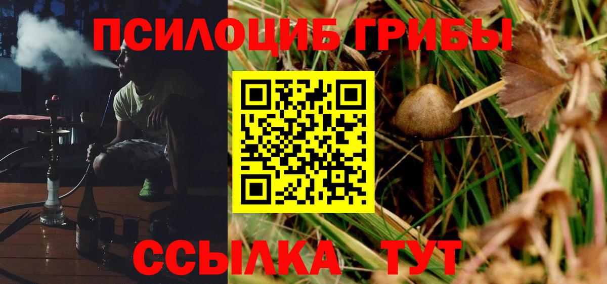 Псилоцибиновые грибы мицелий Истра