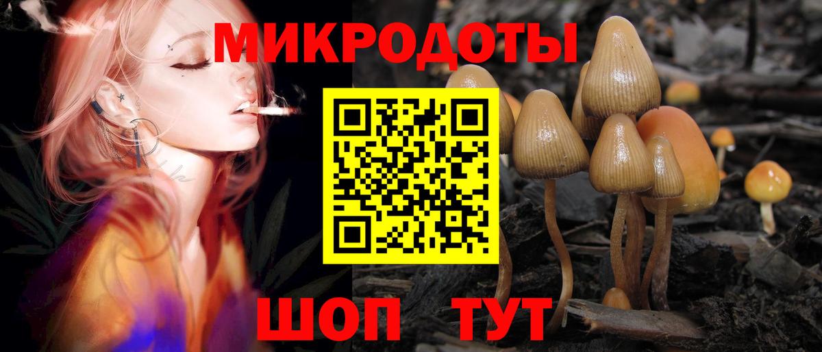 Истра  Псилоцибиновые грибы Magic Shrooms  Псилоцибиновые грибы Psilocybine cubensis  Вход с VPN 